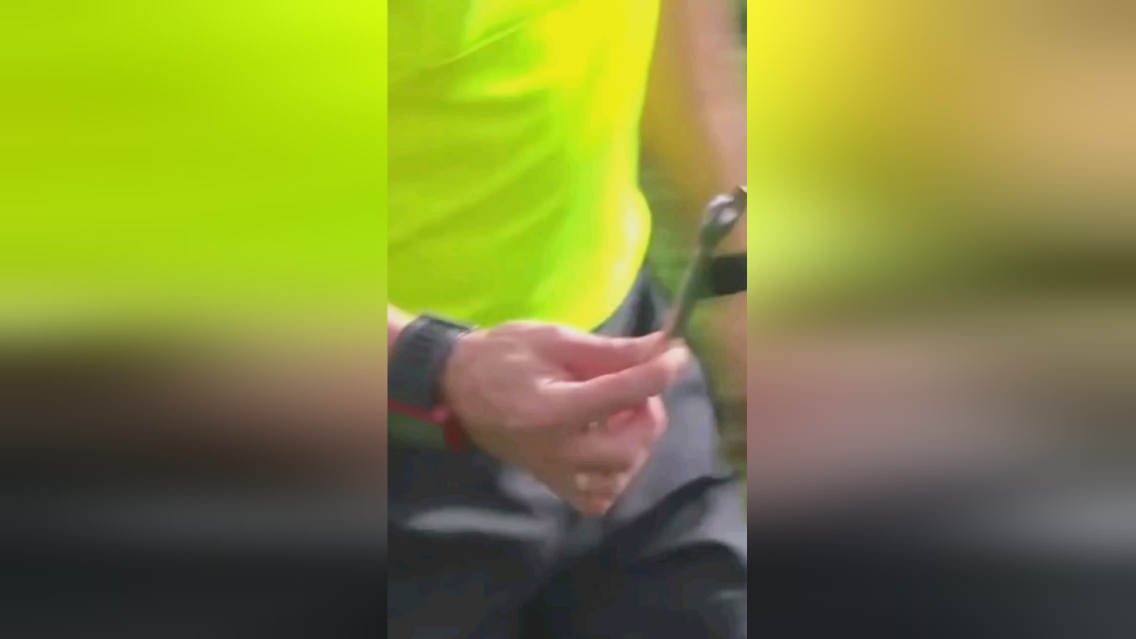 在贝